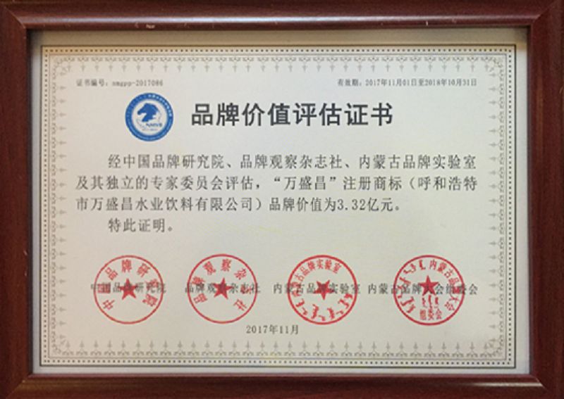 41、2017品牌價(jià)值評估證書3.32億.jpg